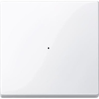 Merten 619125 Wippe für Tastermodul 1fach, aktivweiß glänzend, System