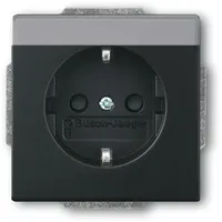 Busch-Jaeger 20 EUN-885 SCHUKO® Steckdosen-Einsatz mit Beschriftungsfeld schwarz matt