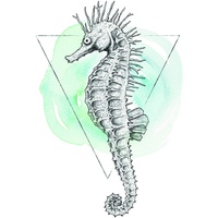 KOMAR Sea Horse Watercolor", bunt (farbe bild(er): bunt), B:30cm