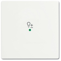 Busch-Jaeger 6234-10-884 Wippe 1-fach, mit Symbol "Dimmer"