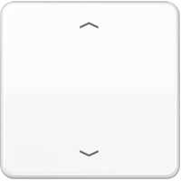 Jung Steuertaste Standard Pfeile CD 1700 P WW