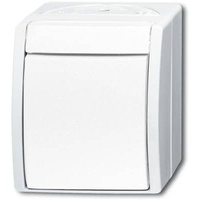 Busch-Jaeger Wechselschalter 2601/6 W-54