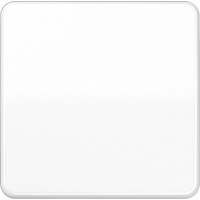 Jung Steuertaste Standard CD 1700 WW