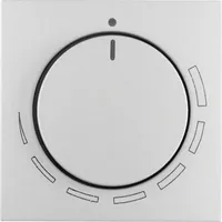 Berker Zentralstück 11371424