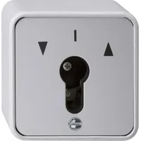 Gira Schlüsseltaster 016330