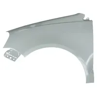 Diederichs Kotflügel vorne links für VW