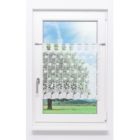 Plauener Spitze® Scheibengardine Plauener Spitze - Blüte (Bx H)