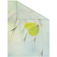 Lichtblick Fensterfolie Schmetterling grün B/L: ca. 100x180 cm