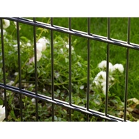 PEDDY SHIELD Doppelstabmattenzaun 3 Matten 1,03 x 6 m