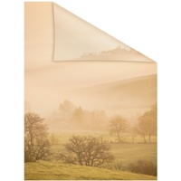 Lichtblick Fensterfolie Toskana 100x100cm 89218851-3