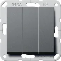 Gira Taster 284428