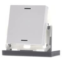 MDT Taster Light 55 1-fach RGBW reinweiß glänzend, neutral,