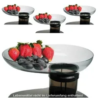 LENTZ 4er Set Einfülltablett für Juice King 600 +