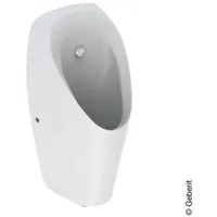 Geberit Tamina Urinal 116144001