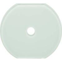 Berker Glas-Mittelplatte 109509
