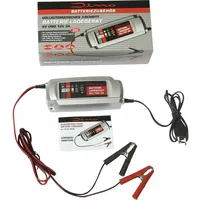 Dino Kraftpaket 136301 Automatikladegerät 12 V, 6 V 3