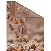 Lichtblick Kaffee braun B/L: ca. 50x100 cm