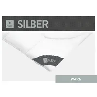 SPESSARTTRAUM Silber weiß, B:135cm L:200cm, Bettdecken Bezug: 100% Polyester,