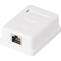 Renkforce 1 Port Netzwerkdose Aufputz CAT 6 KSV-ND10 Weiß