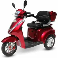 Efun Eco Engel 501 1000 Watt 25 km/h rot