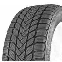Mastersteel Winter Plus 205/55 R17 95H XL