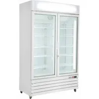 Saro Kühlschrank mit 2 Glastüren weiß, Modell G 885