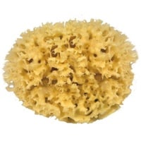 Croll & Denecke Naturschwamm Medium 14cm