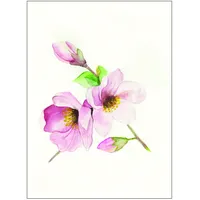 KOMAR Magnolia Breathe", rosa (farbe bild(er): rosa), B:40cm H:50cm,