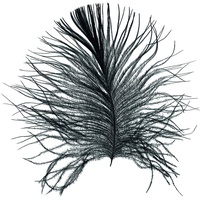 KOMAR Bild KOMAR "Feather White", bunt (farbe bild(er): bunt),