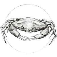 KOMAR Crab White", bunt (farbe bild(er): bunt), B:50cm H:70cm,