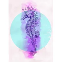KOMAR Sea Horse Circle", bunt (farbe bild(er): bunt), B:50cm