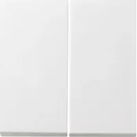 Gira Flächenschalter 0915112