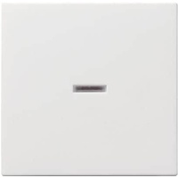 Gira Wippe rws-gl mit Kontroll-Fenster 029003