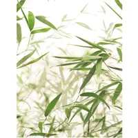 KOMAR Bamboo Leaves", bunt (farbe bild(er): bunt), B:40cm H:50cm,
