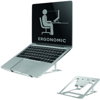 NeoMounts NSLS085, Notebook-Stand bis 17", silber (NSLS085SILVER)