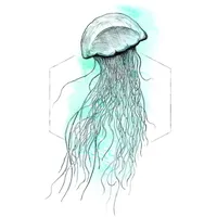 KOMAR Jellyfish Watercolor", bunt (farbe bild(er): bunt), B:40cm H:50cm,