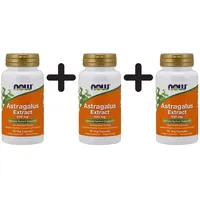 NOW Foods Astragalus-Extrakt 500 mg 90 St