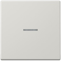 Jung FMLS1700LG eNet Funk-Steuertaste Standard 1fach Duroplast, lichtgrau