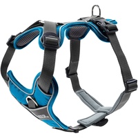 Hunter Divo XS, 34-47 cm, hellblau/grau