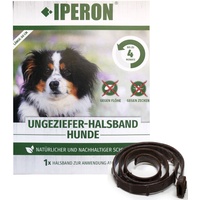 Lyra Pet IPERON® Flohhalsband Hund klein 60 cm