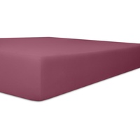 Kneer Spannbettlaken Easy-Stretch 90 x 190 - 100 x