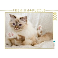 Calvendo Süße Heilige Birma Katze Puzzle