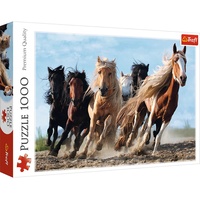 Trefl Puzzle 1000 Teile