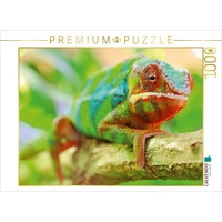 Calvendo Chamäleon Puzzle