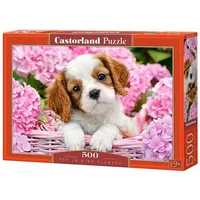 Castorland B-52233-2 Pup Flowers, Puzzle 500 Teile,