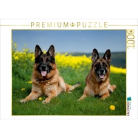 Calvendo Deutsche Schäferhunde Puzzle