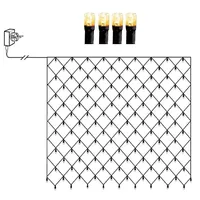 STAR LED Lichternetz mit 200 golden warmweißen Dioden 3x3m