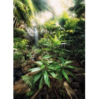 KOMAR Fototapete Spirit - Größe: 200 x 260 cm