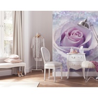 KOMAR Fototapete Delicate Rose - Größe: 200 x 260
