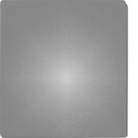 Eltako Abdeckfolie, FSAF-gr 30999002